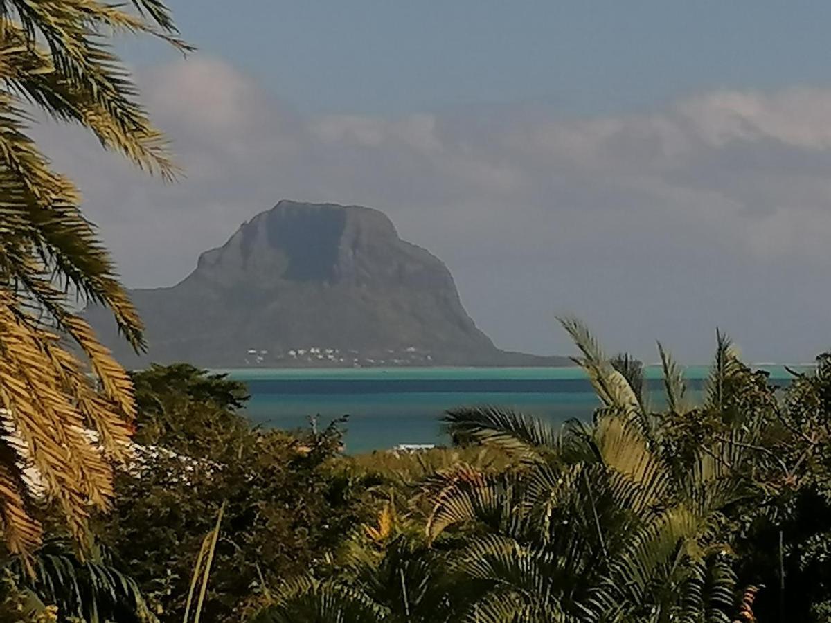 Terre Et Mer - Studios - Ile Maurice Riviere Noire Bagian luar foto