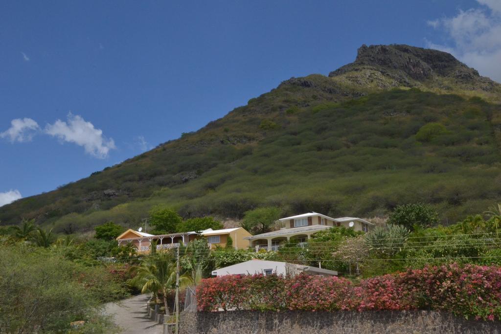 Terre Et Mer - Studios - Ile Maurice Riviere Noire Bagian luar foto